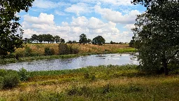 Kungsmarken